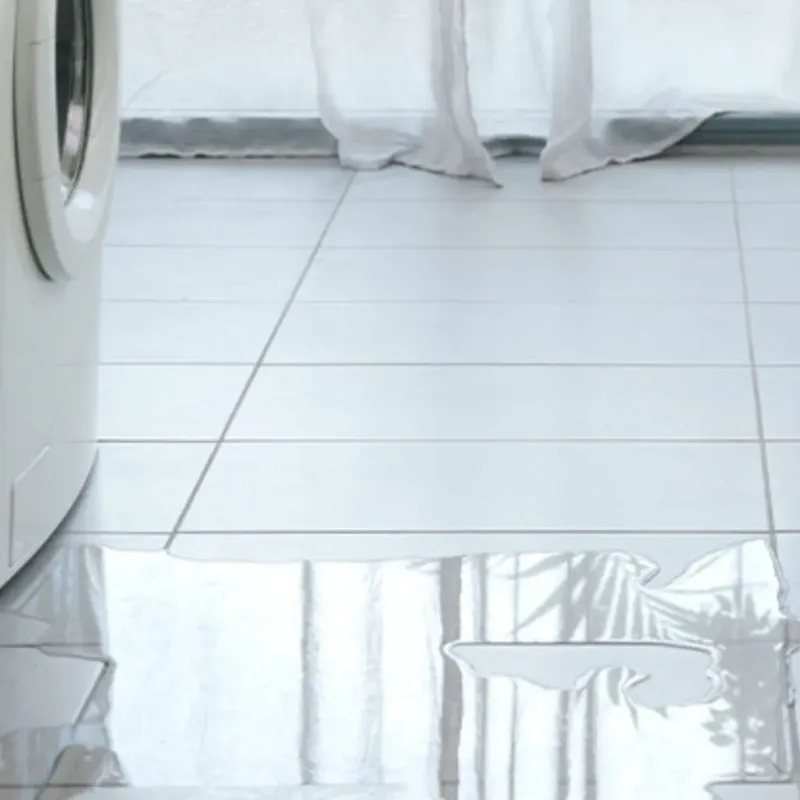 Appliance Leak Cleanup in Chinatown, CA