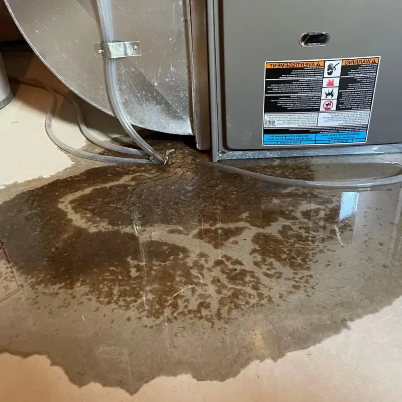 Pipe Burst and Leak Restoration in Chinatown, CA