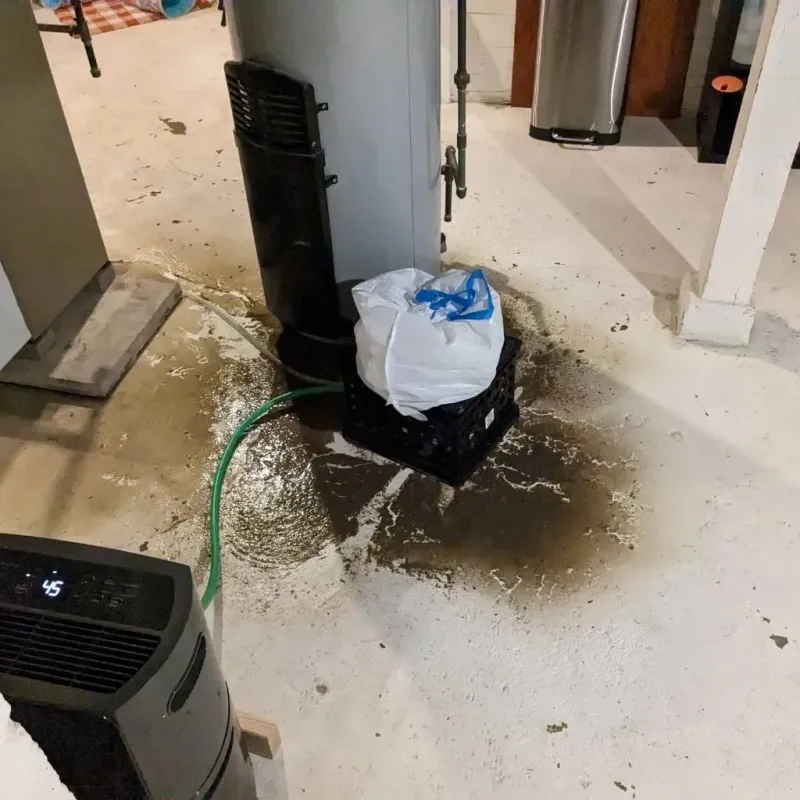 Sewage Backup Cleanup Service in Chinatown, CA